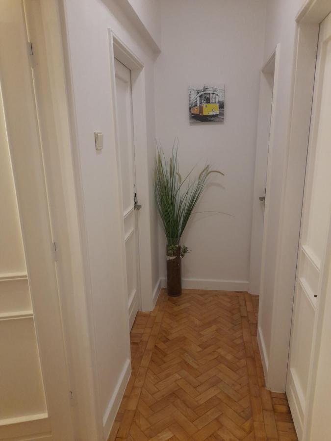 Cozy Central 3 Bedrooms Bragas Porto Bagian luar foto